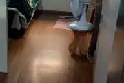 Casa em porto alegre em Jardim Carvalho - Galeria 6