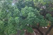 Apartamento 2D região da Juca Batista em Aberta dos Morros - Galeria 5