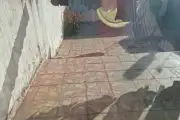 Casa 3D no Nonoai (Terreno 300m²) em Nonoai - Galeria 4