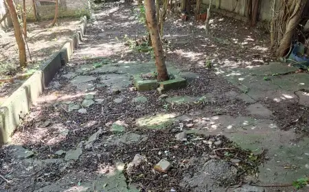 Terreno 330m² no Teresópolis (10x33) em Teresópolis - Foto 3