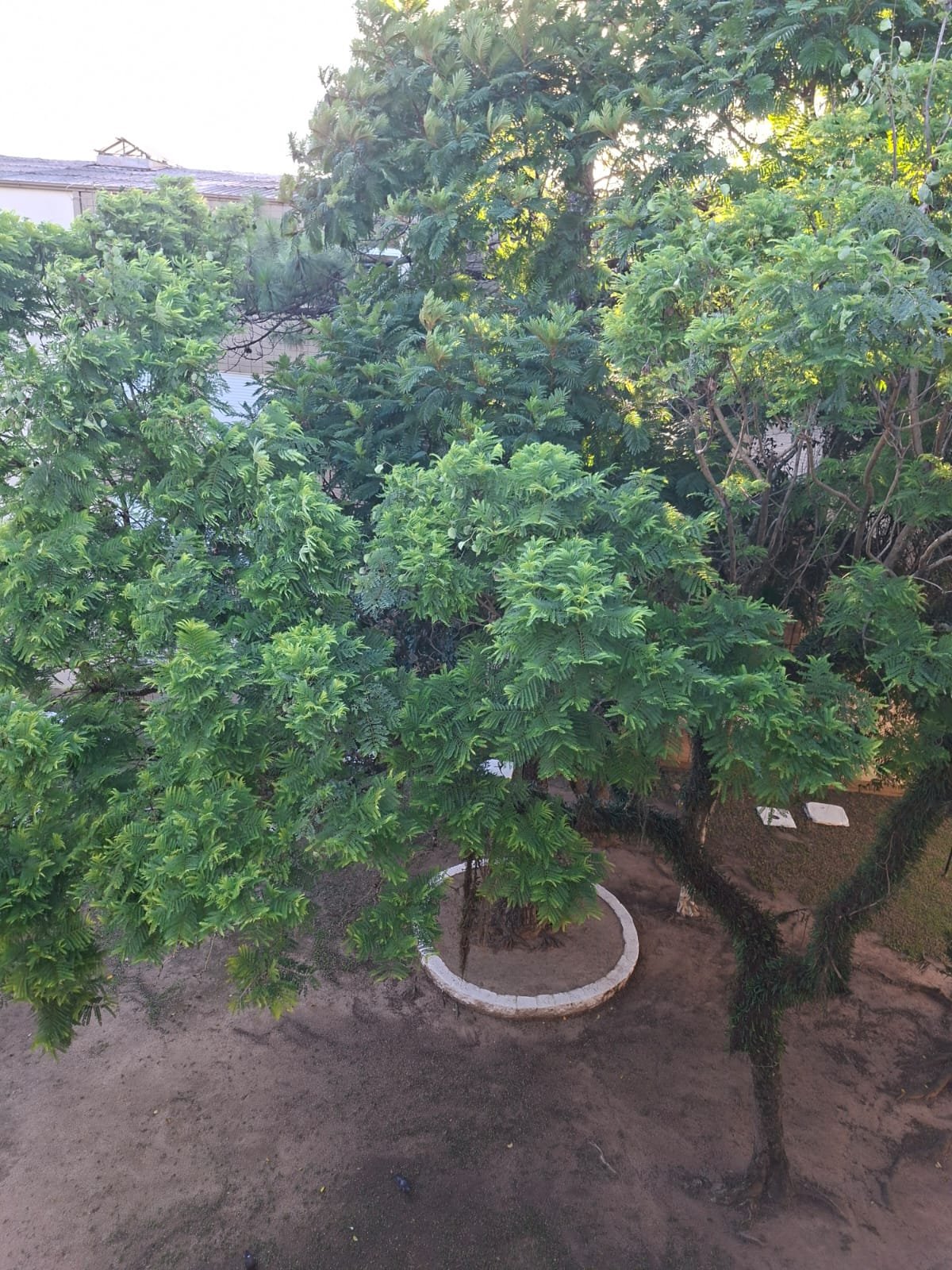 Apartamento 2D região da Juca Batista - Galeria 4